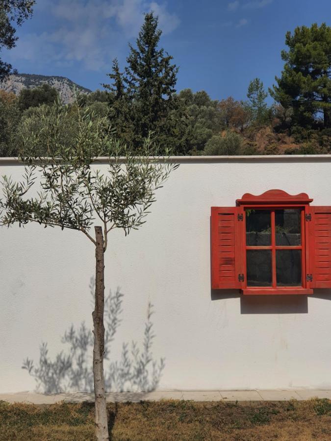 Artolive Datca Exterior photo