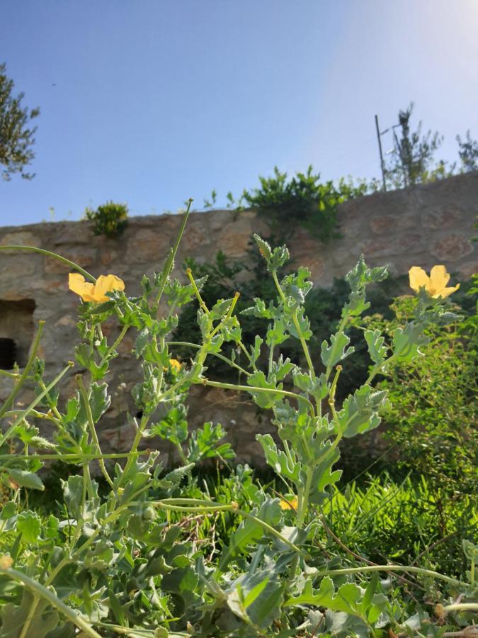 Artolive Datca Exterior photo