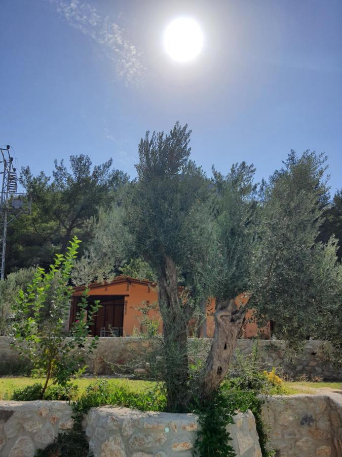 Artolive Datca Exterior photo