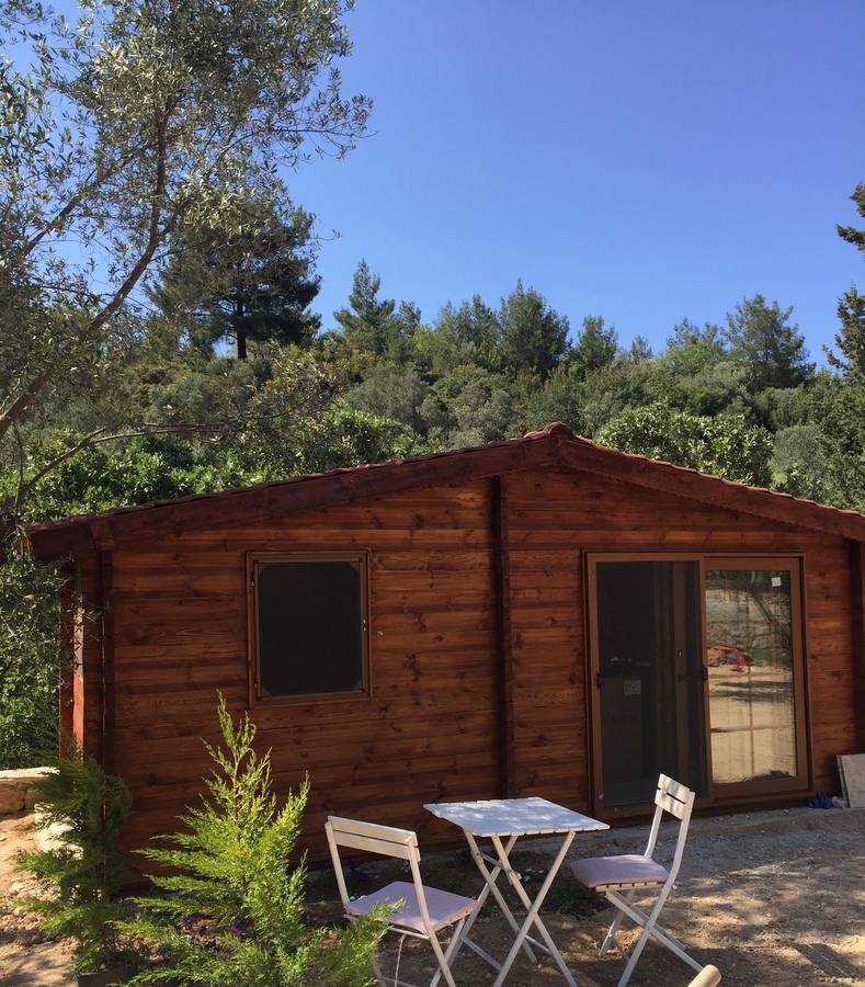 Artolive Datca Exterior photo