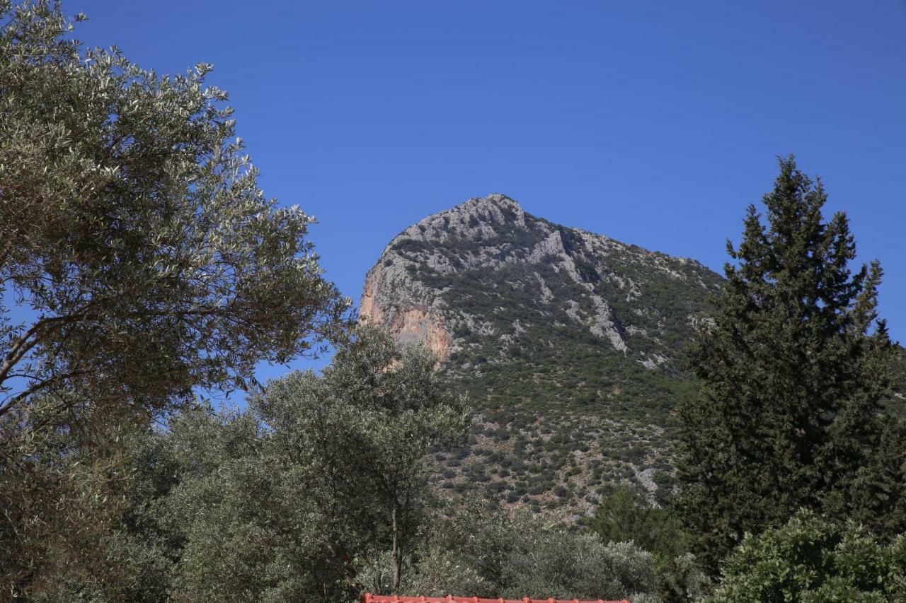 Artolive Datca Exterior photo