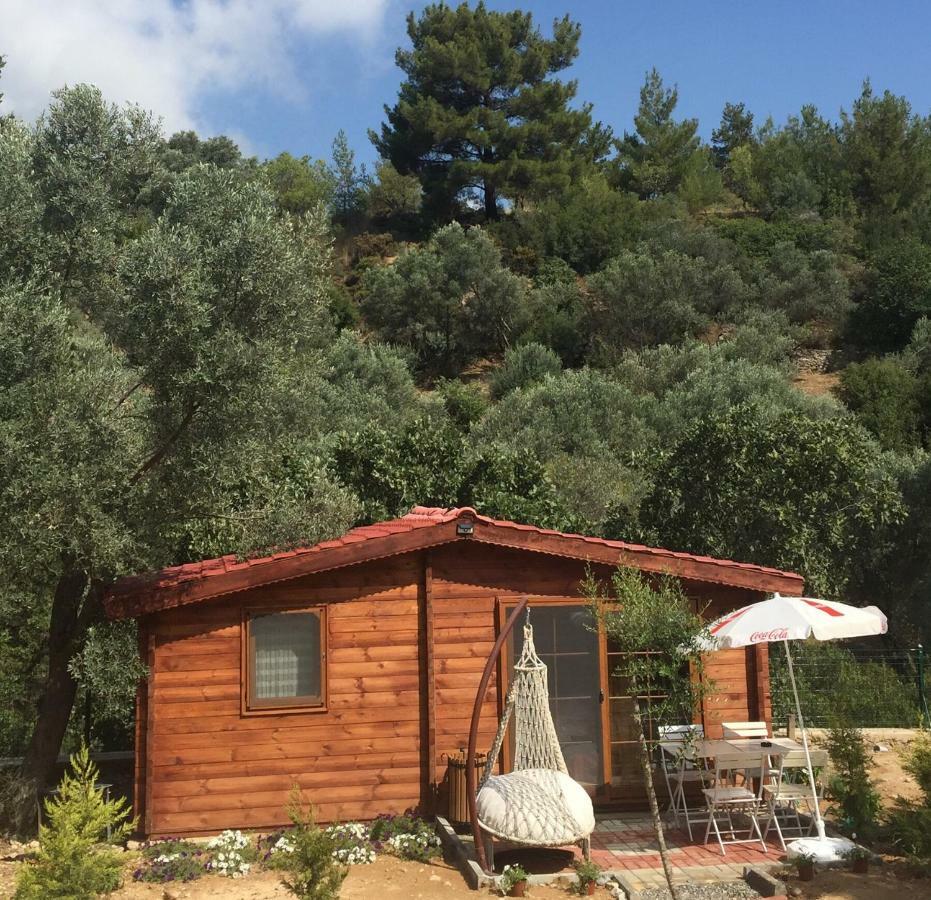 Artolive Datca Exterior photo